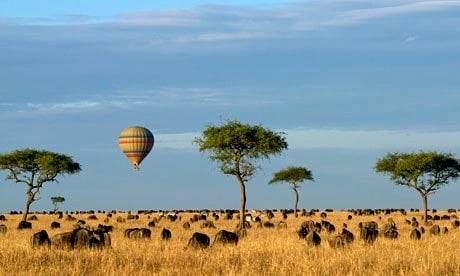 A hot air balloon floats above a field with cows and trees