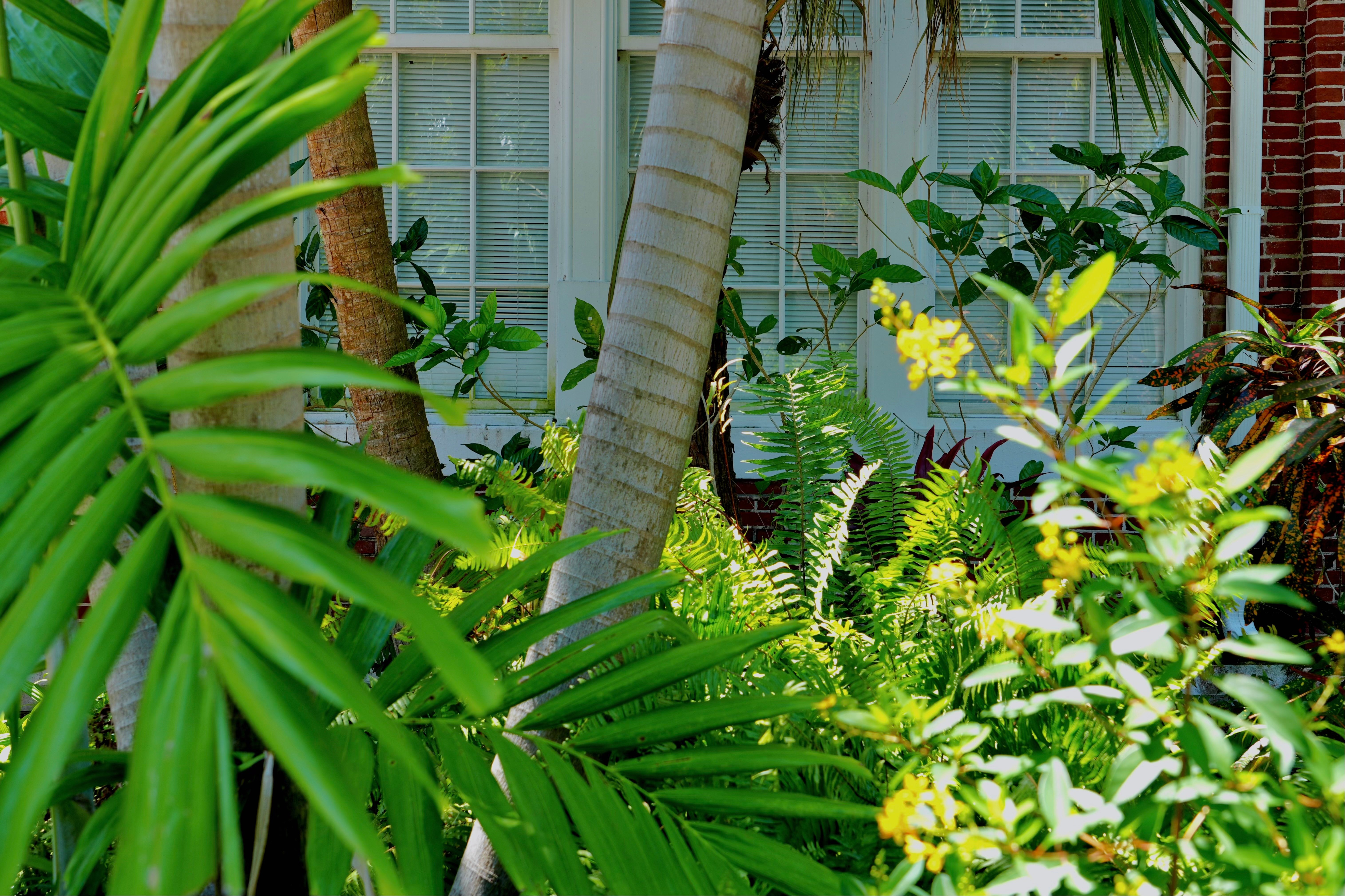 DSC00507