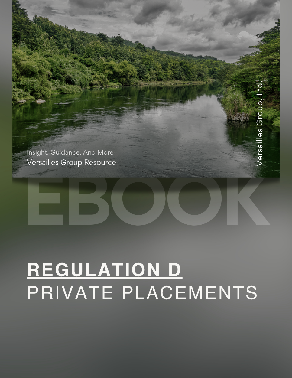 Regulation D  Private Placements