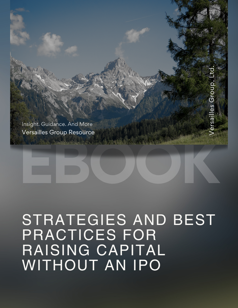 Strategies and Best Practices for Raising Capital Without an IPO