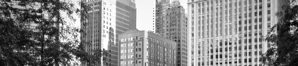 Black and white photograph of Chicago cityscape featuring tall buildings with various architectural styles surrounded by trees in foreground. 